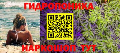скорость Заволжье