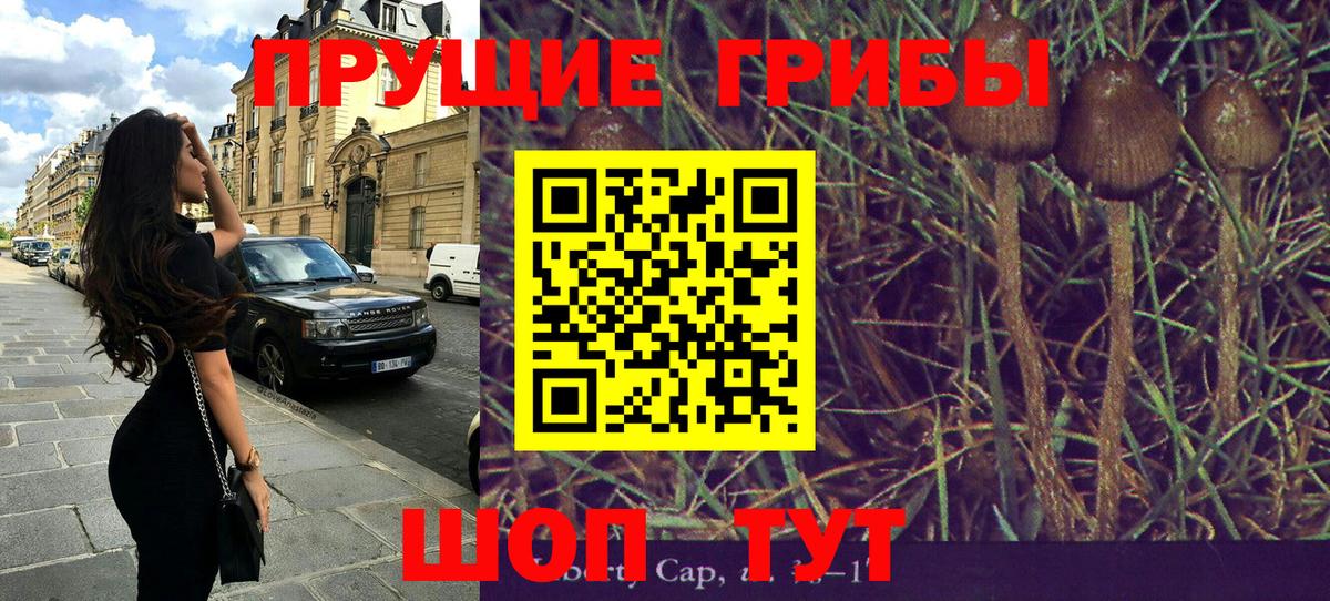 Михайловск  Галлюциногенные грибы ЛСД  Вход с VPN 